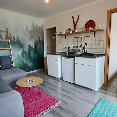 Apartament Bazatatry Sloneczny II Apartment Zakopane Ngoại thất bức ảnh